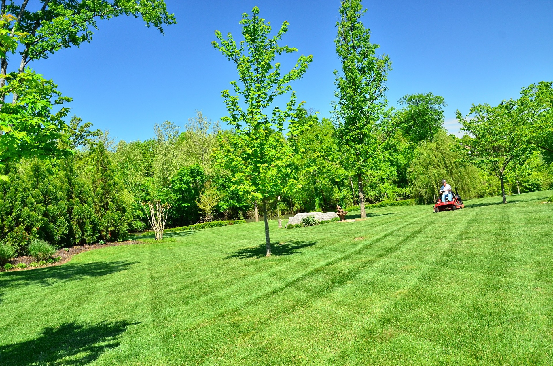 Lawn Maintenance and mowing